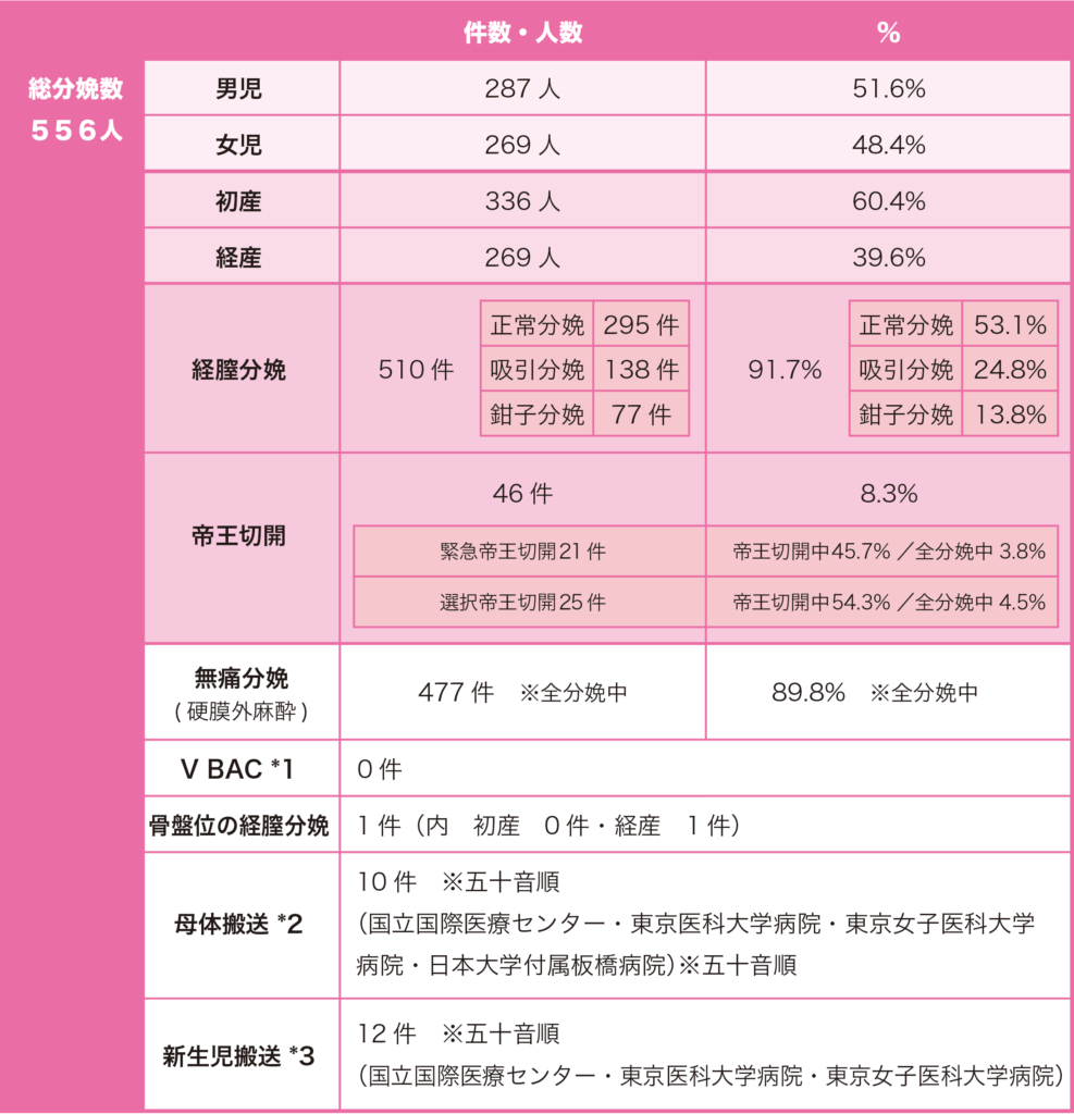 2024年の分娩数とその内訳
